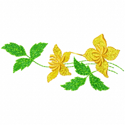 Patterns And Boards Embroidery Design 6